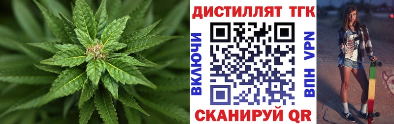 дарнет шоп  Чёрмоз  Дистиллят ТГК Wax 