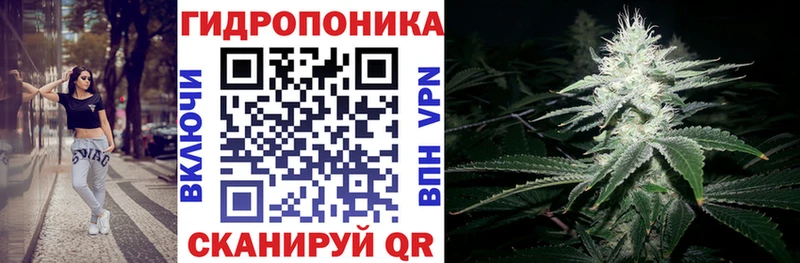 Бошки марихуана VHQ Чёрмоз